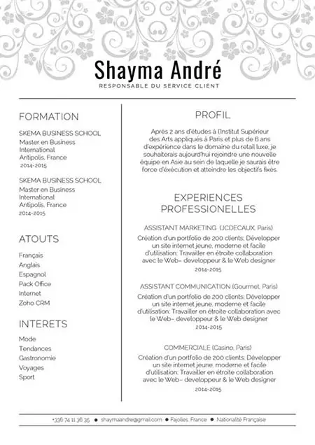 exemple de cv assistant informatique   19