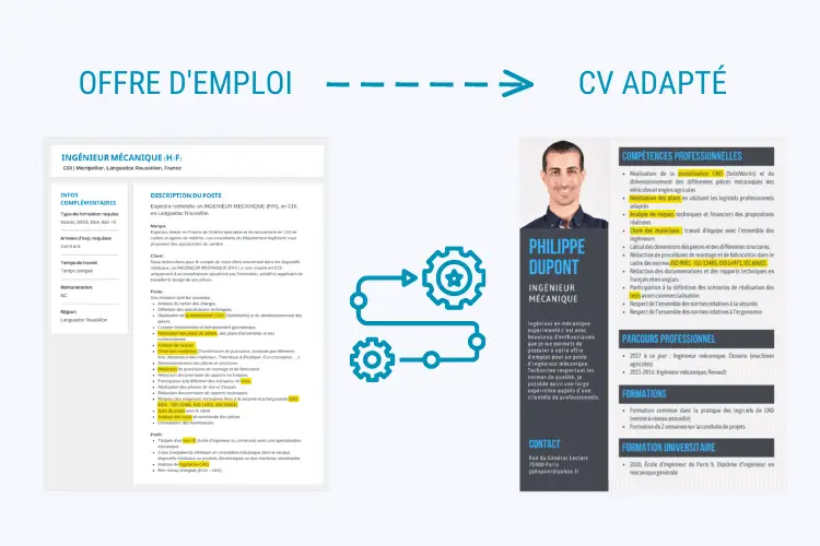 adapter cv à l'offre d'emploi