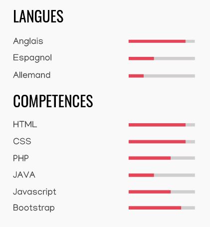 competences barres sur CV exemple