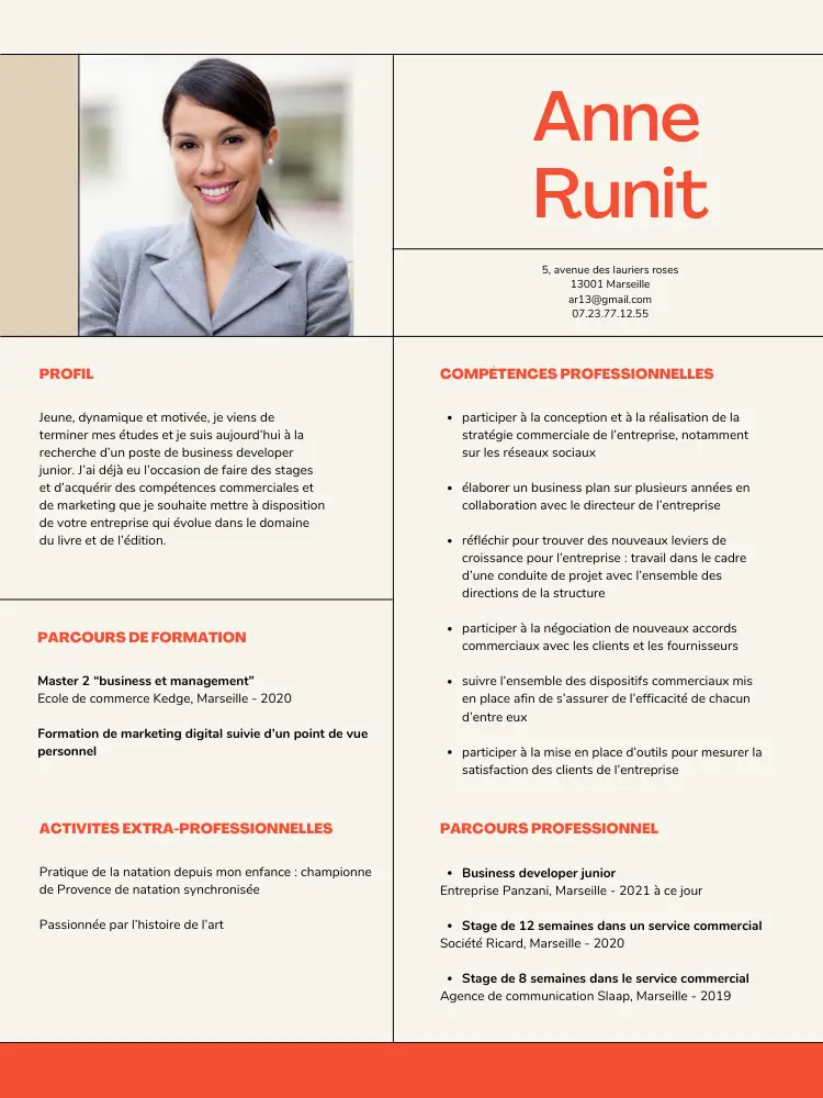 cv business developer