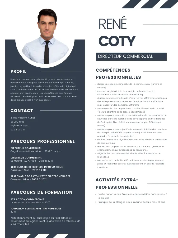 cv directeur commercial