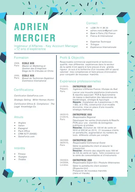 cv moderne sans photo avec cadre super fun