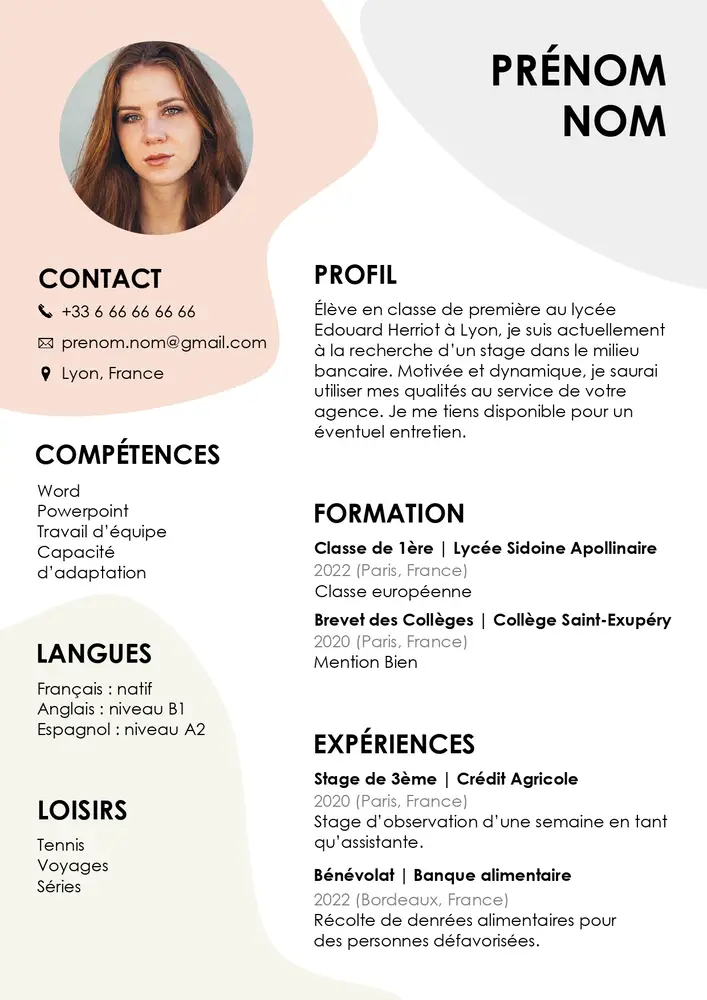 cv elegant etudiants