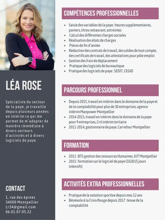 cv pour interim