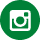 icone vert instagram foncée