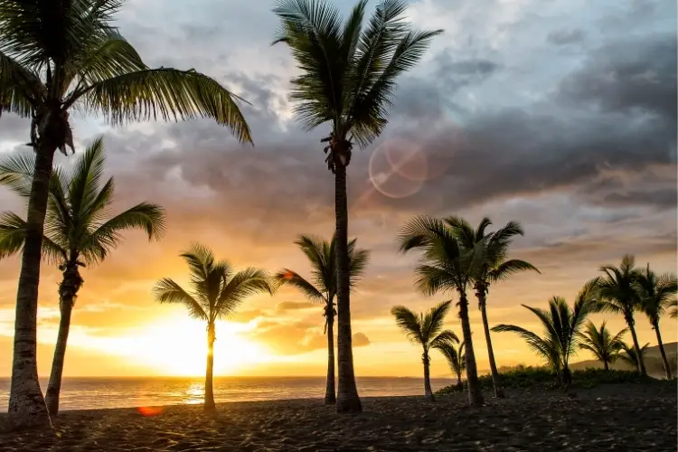 la reunion climat