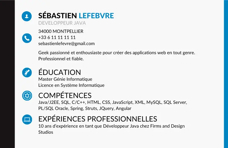 mini cv exemple