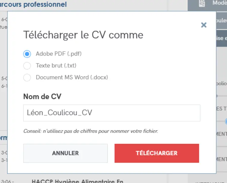 Création d'un CV sur Zety (image 17/19)